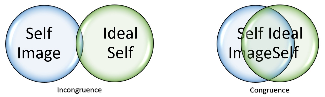 Self Image Ideal Self Congruence and Incongruence