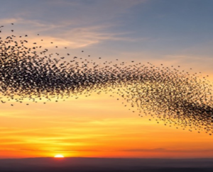 Beyond Staying Calm: The Real Work of Co-Regulation